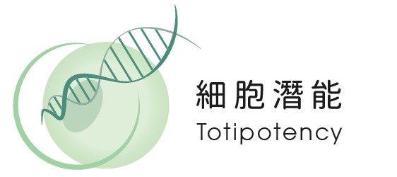 細胞潛能生物科技有限公司